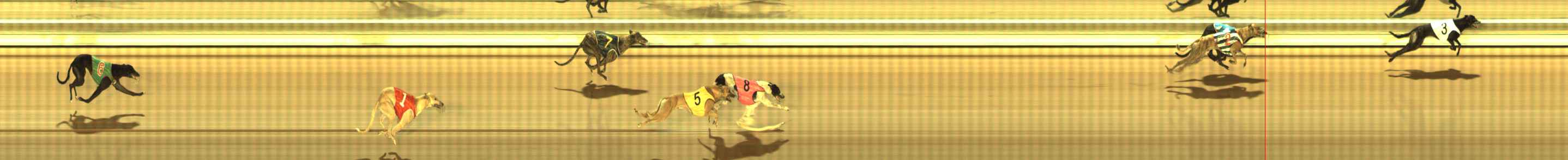 Photo finish for The Meadows Race 10