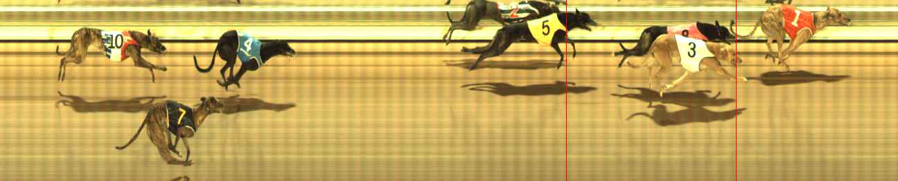Photo finish for The Meadows Race 11