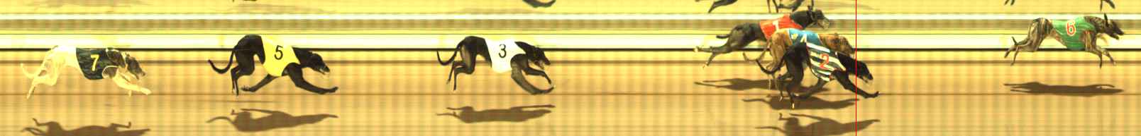 Photo finish for The Meadows Race 12