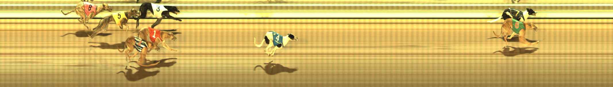 Photo finish for The Meadows Race 1