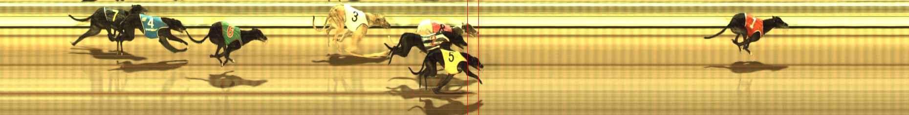 Photo finish for The Meadows Race 3