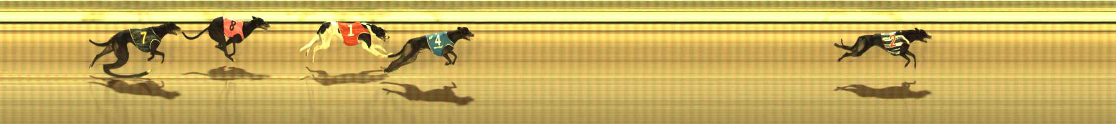 Photo finish for The Meadows Race 4