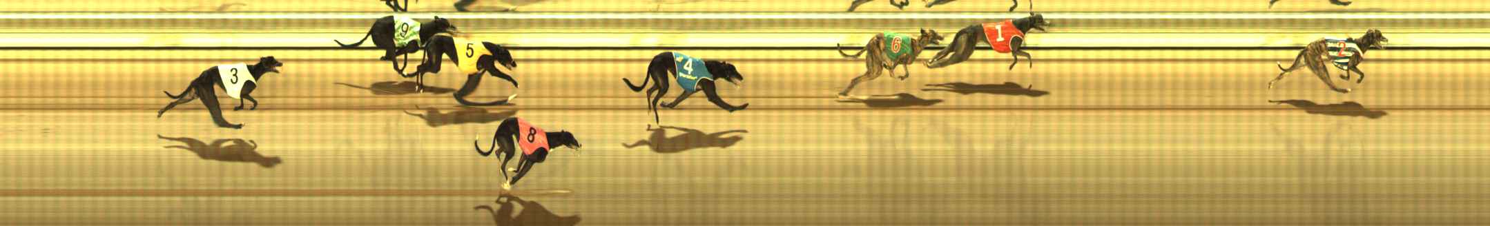 Photo finish for The Meadows Race 5