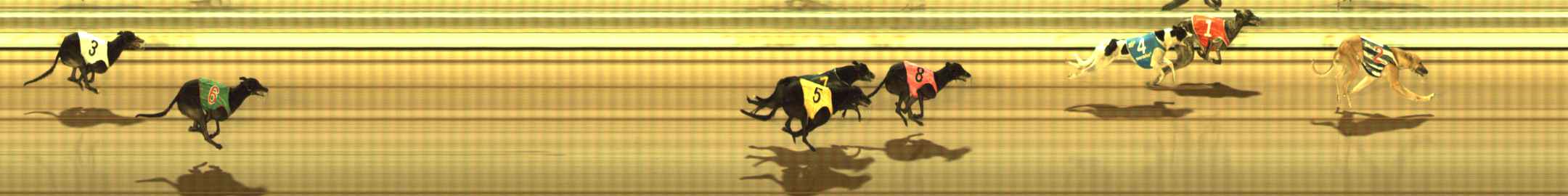 Photo finish for The Meadows Race 6