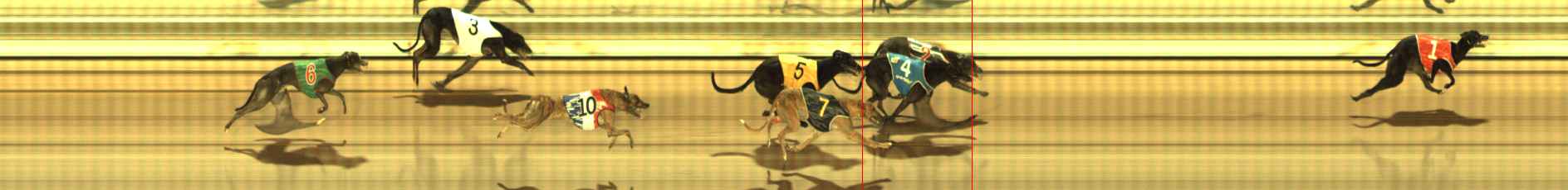 Photo finish for The Meadows Race 7