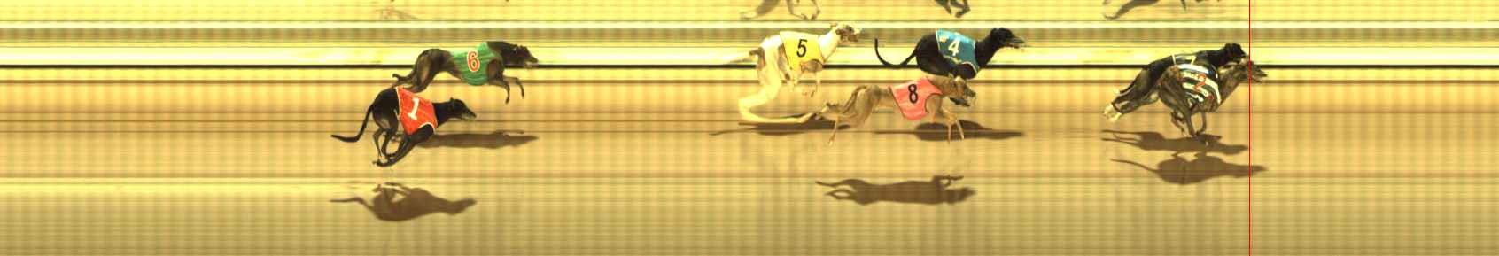 Photo finish for The Meadows Race 8