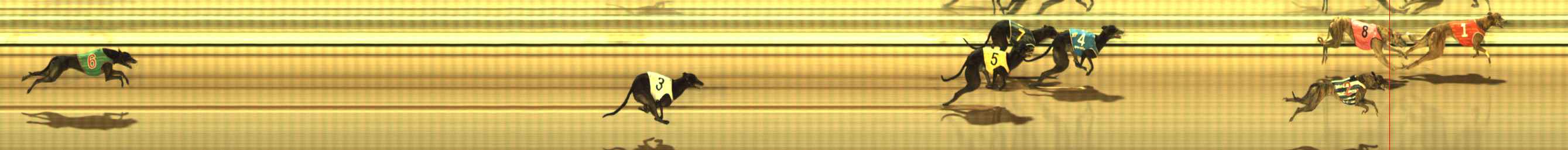 Photo finish for The Meadows Race 10