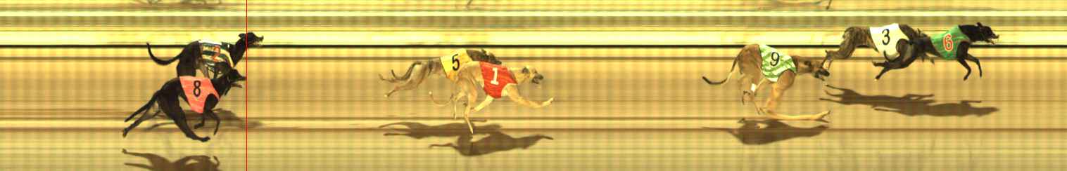Photo finish for The Meadows Race 11