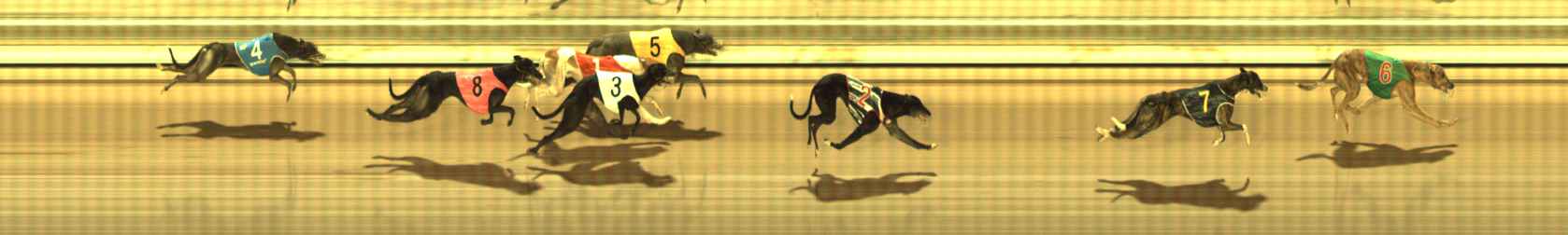 Photo finish for The Meadows Race 12