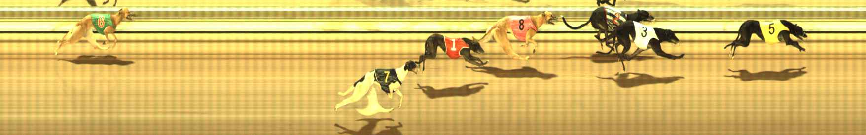 Photo finish for The Meadows Race 1