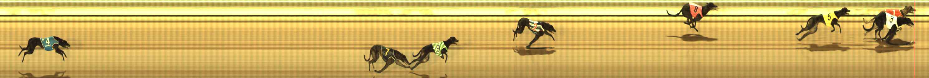 Photo finish for The Meadows Race 2