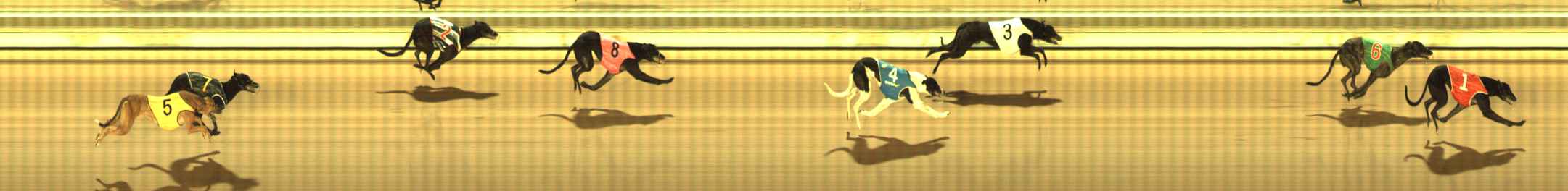 Photo finish for The Meadows Race 3