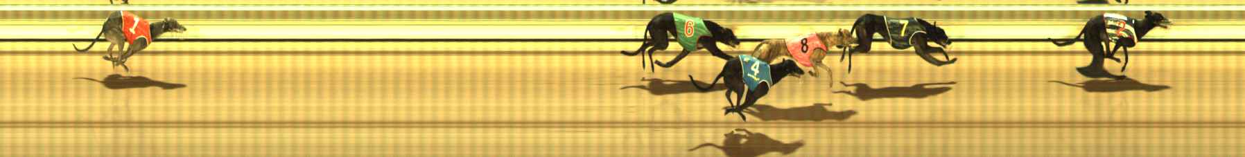 Photo finish for The Meadows Race 4