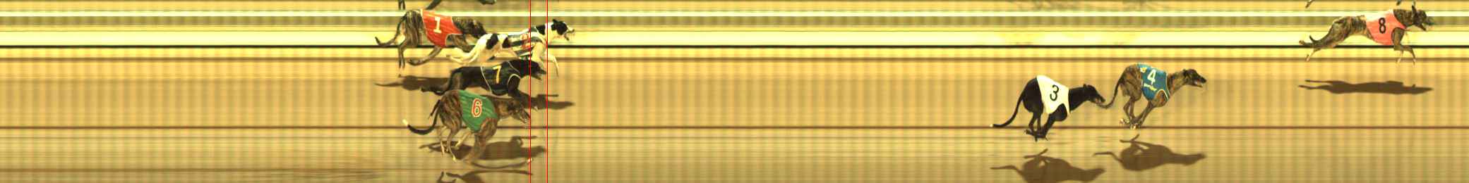 Photo finish for The Meadows Race 6