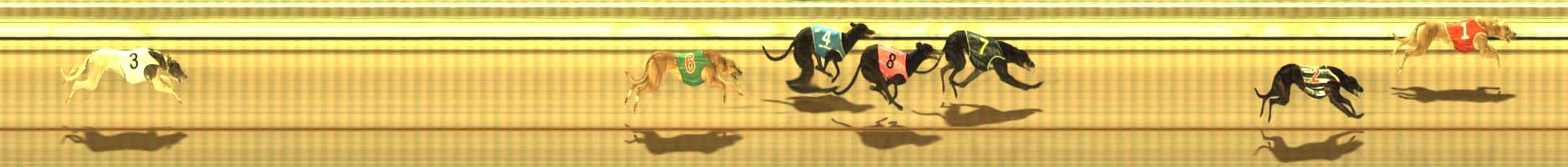 Photo finish for The Meadows Race 7
