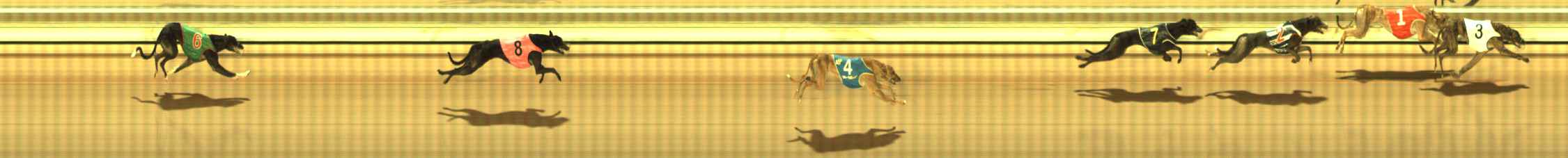 Photo finish for The Meadows Race 8