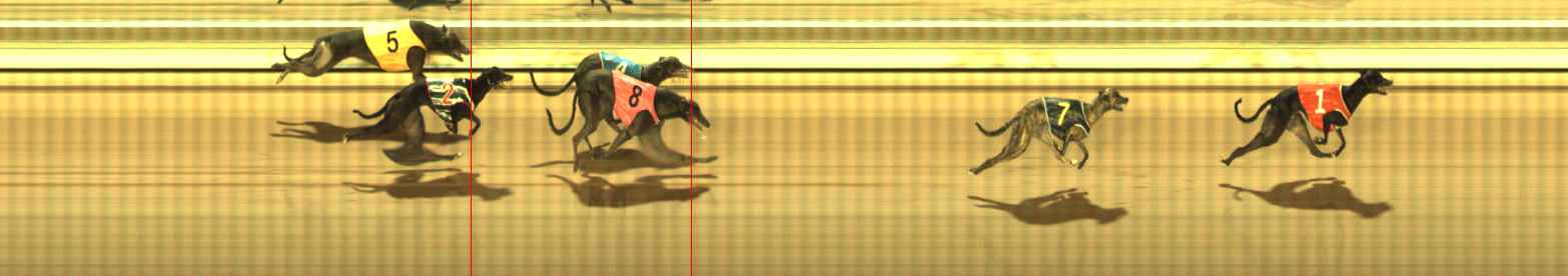 Photo finish for The Meadows Race 9