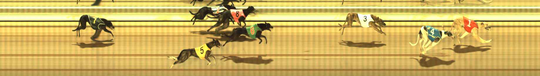 Photo finish for The Meadows Race 10