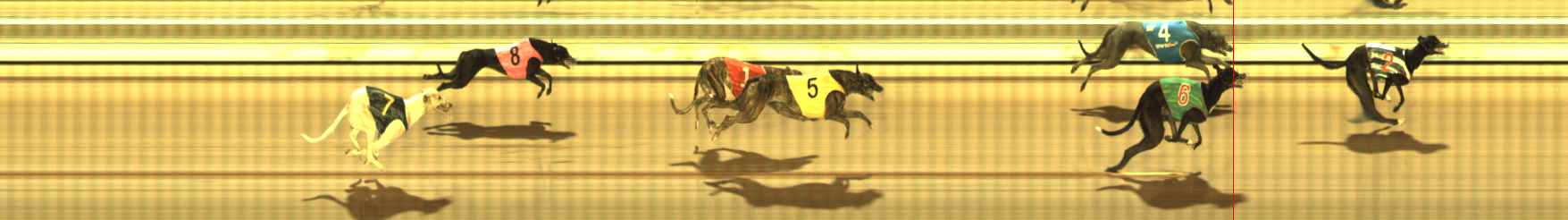 Photo finish for The Meadows Race 11