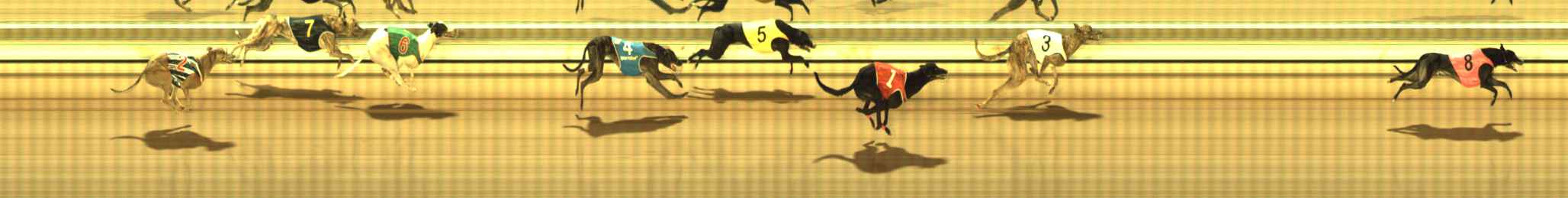 Photo finish for The Meadows Race 12