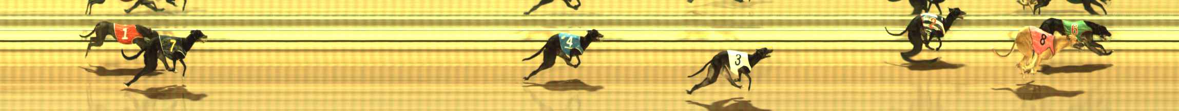 Photo finish for The Meadows Race 2