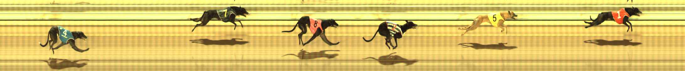 Photo finish for The Meadows Race 4