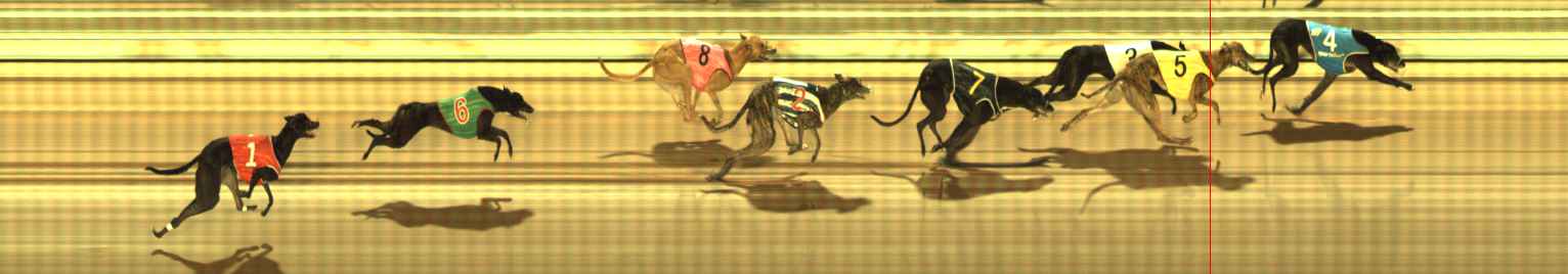 Photo finish for The Meadows Race 5