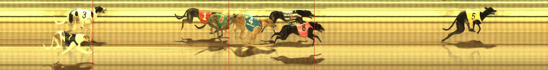 Photo finish for The Meadows Race 6