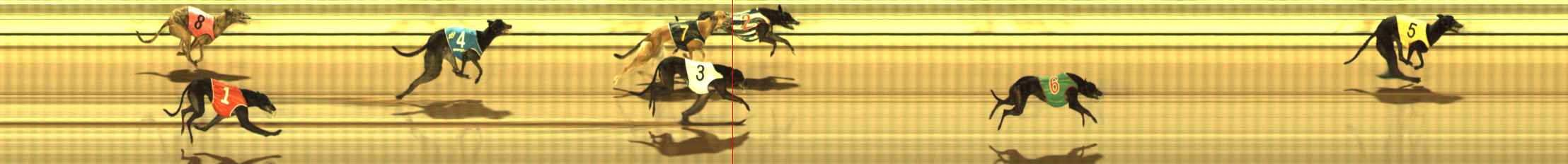 Photo finish for The Meadows Race 7