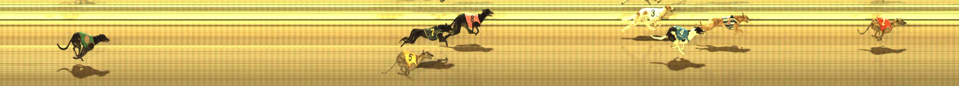 Photo finish for The Meadows Race 10