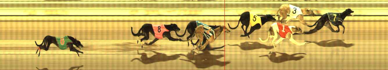 Photo finish for The Meadows Race 11