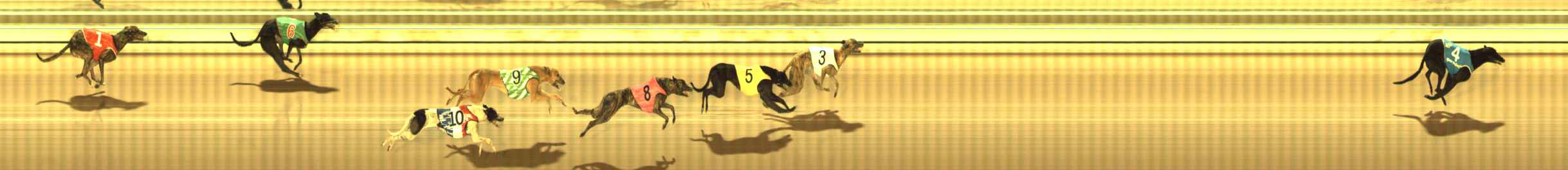 Photo finish for The Meadows Race 5
