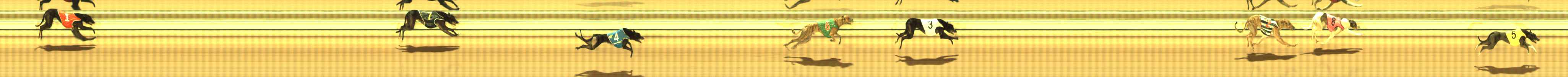 Photo finish for The Meadows Race 6