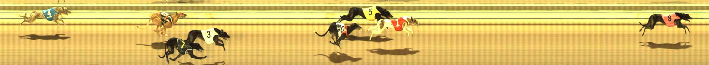 Photo finish for The Meadows Race 7