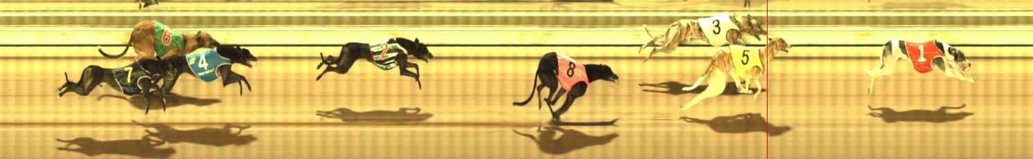 Photo finish for The Meadows Race 10