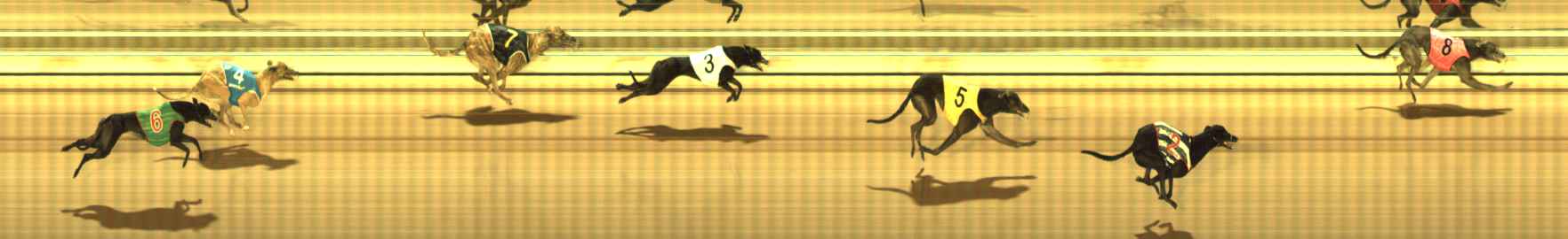Photo finish for The Meadows Race 11