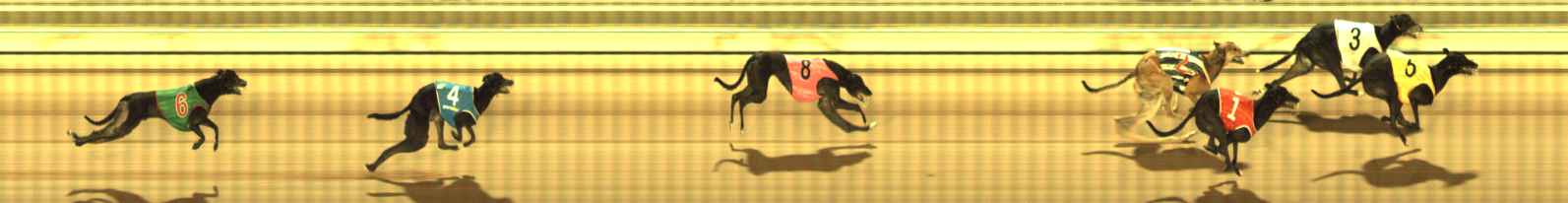 Photo finish for The Meadows Race 12