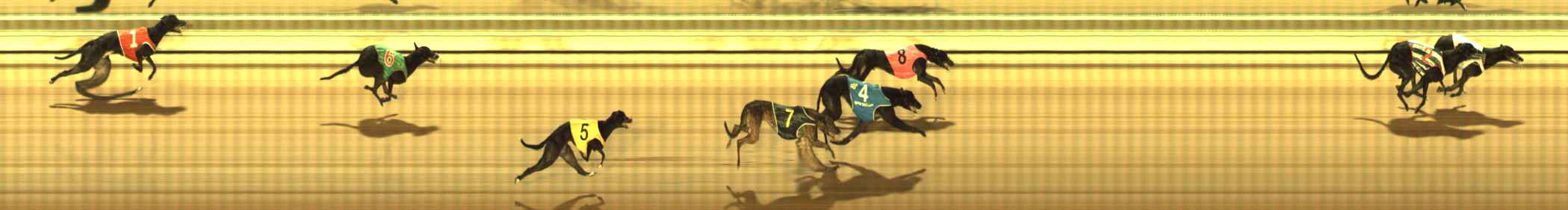 Photo finish for The Meadows Race 1