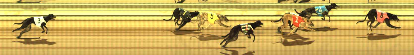 Photo finish for The Meadows Race 2