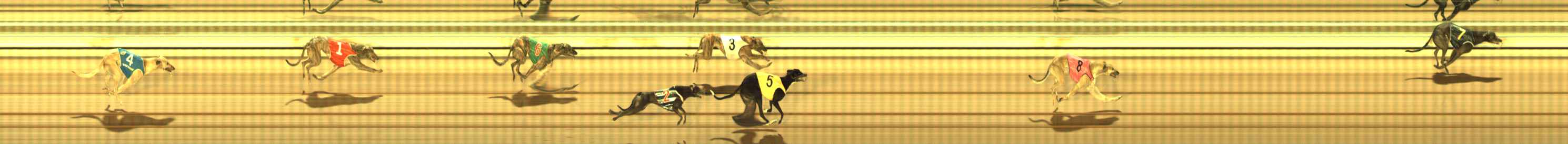Photo finish for The Meadows Race 3
