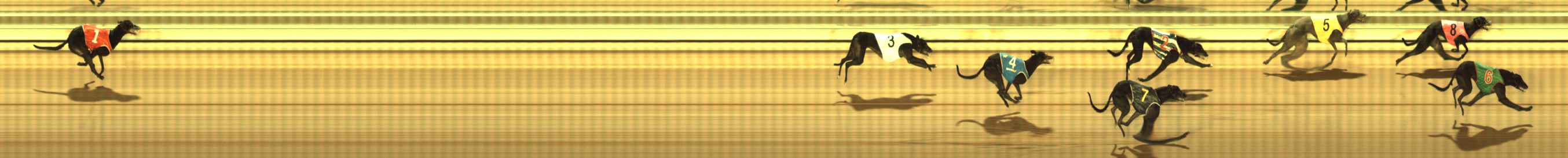 Photo finish for The Meadows Race 4