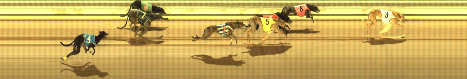 Photo finish for The Meadows Race 5