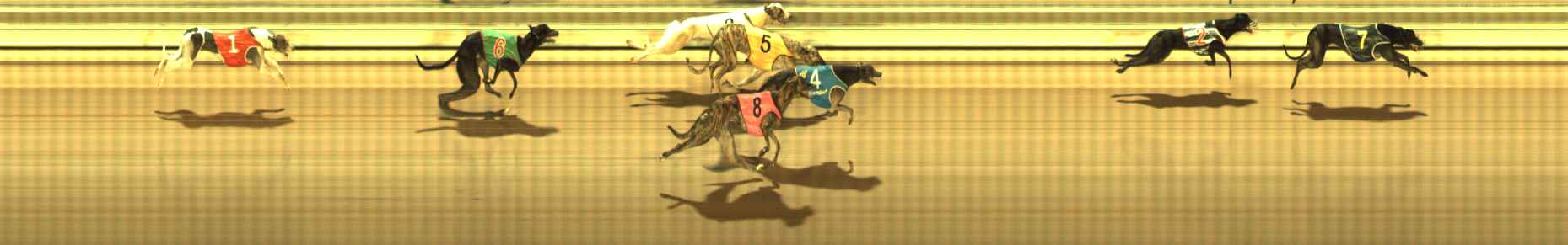 Photo finish for The Meadows Race 6