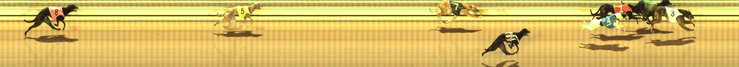 Photo finish for The Meadows Race 7