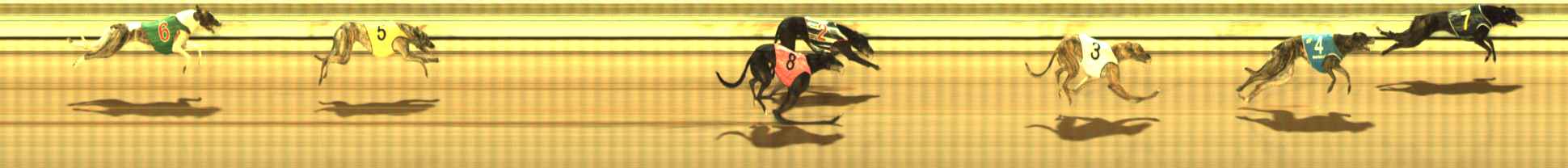 Photo finish for The Meadows Race 9