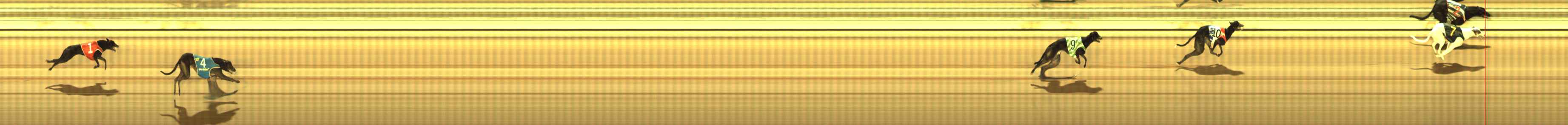 Photo finish for The Meadows Race 10