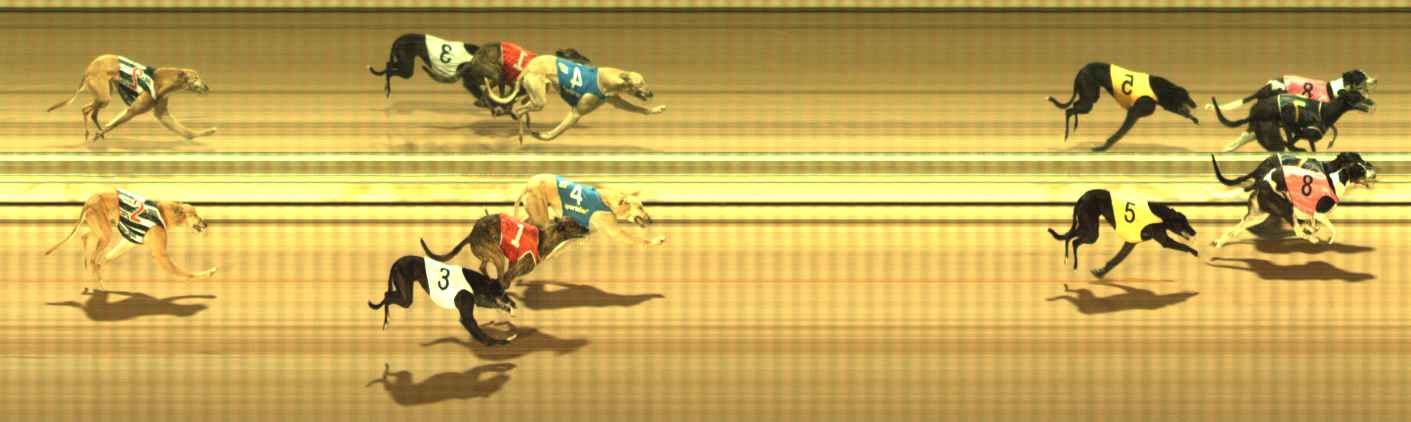 Photo finish for The Meadows Race 1