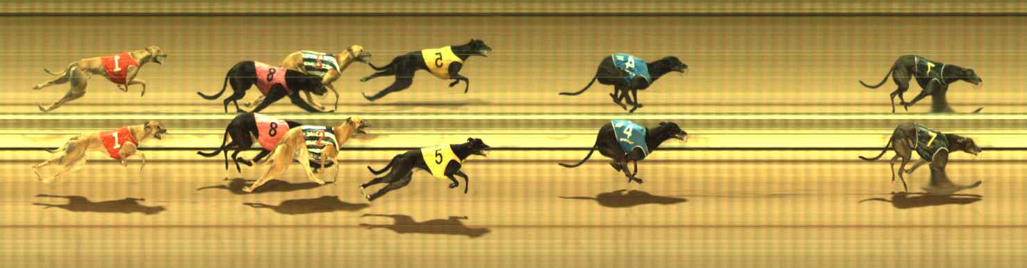 Photo finish for The Meadows Race 3