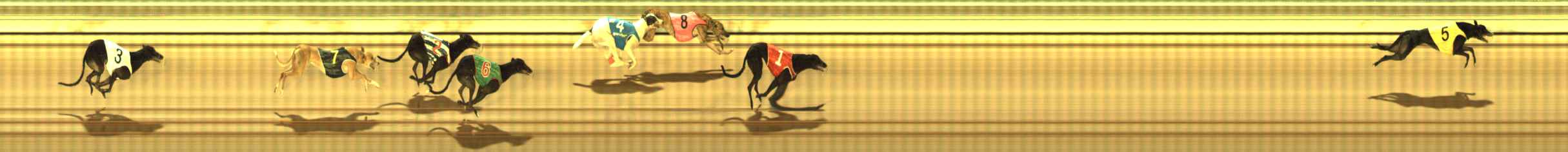 Photo finish for The Meadows Race 5