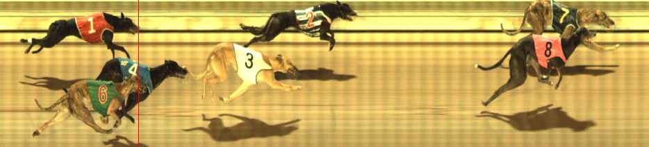 Photo finish for The Meadows Race 6